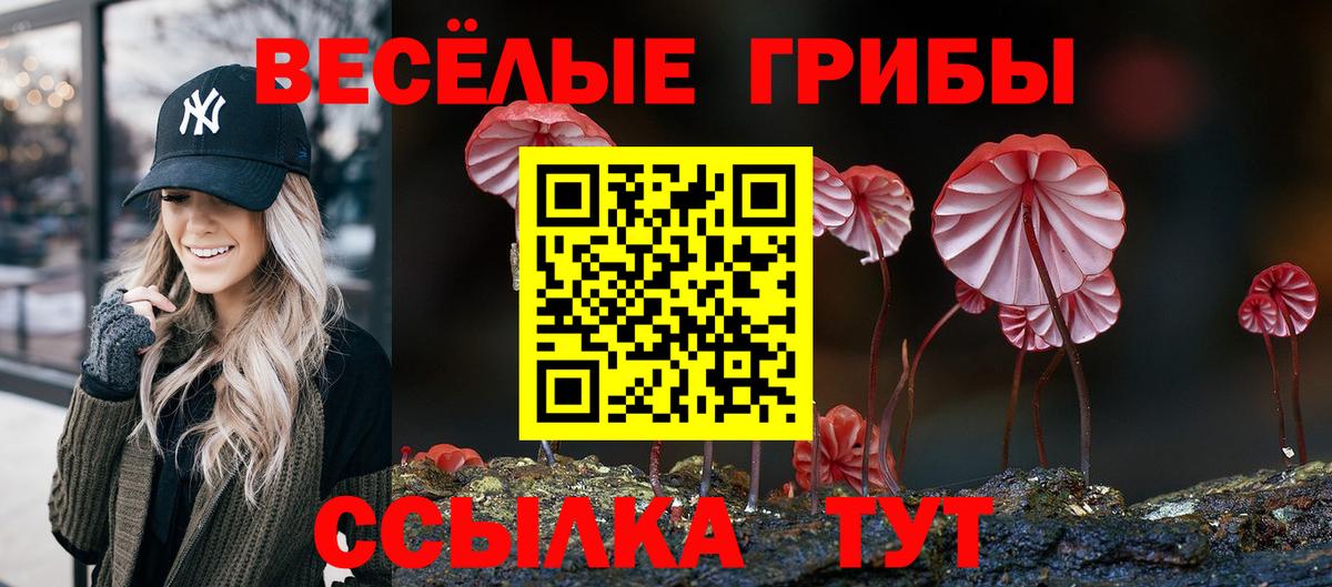 Галлюциногенные грибы мицелий  Вход с VPN  Ртищево  Псилоцибиновые грибы прущие грибы 